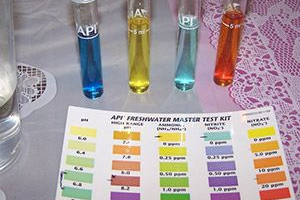 Як часто потрібно змінювати воду в акваріумі з рибою? Як часто потрібно змінювати воду в акваріумі з рибою?